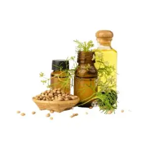 CORRIAN SEED OIL