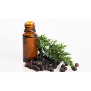 JUNIPER BERRY OIL