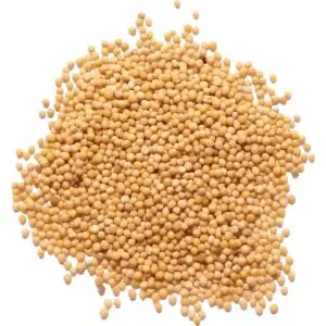 MUSTARD SEEDS