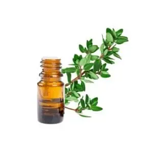 THYME OIL