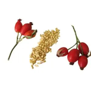 ROSEHIP SEED OIL