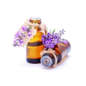 LAVENDER OIL