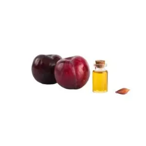 PLUM SEED OIL