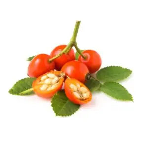 ROSEHIP SEEDS
