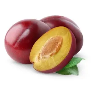 PLUM KERNEL