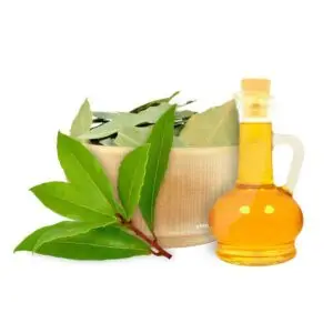 DEFNE YAPRAĞI YAĞI